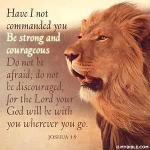 Meet your Posher, Vasana